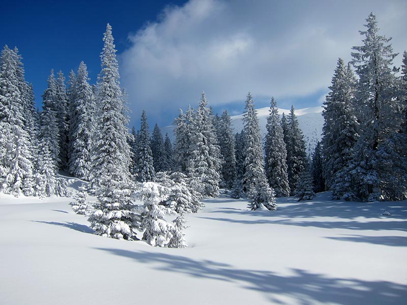 Kuhschneeberg